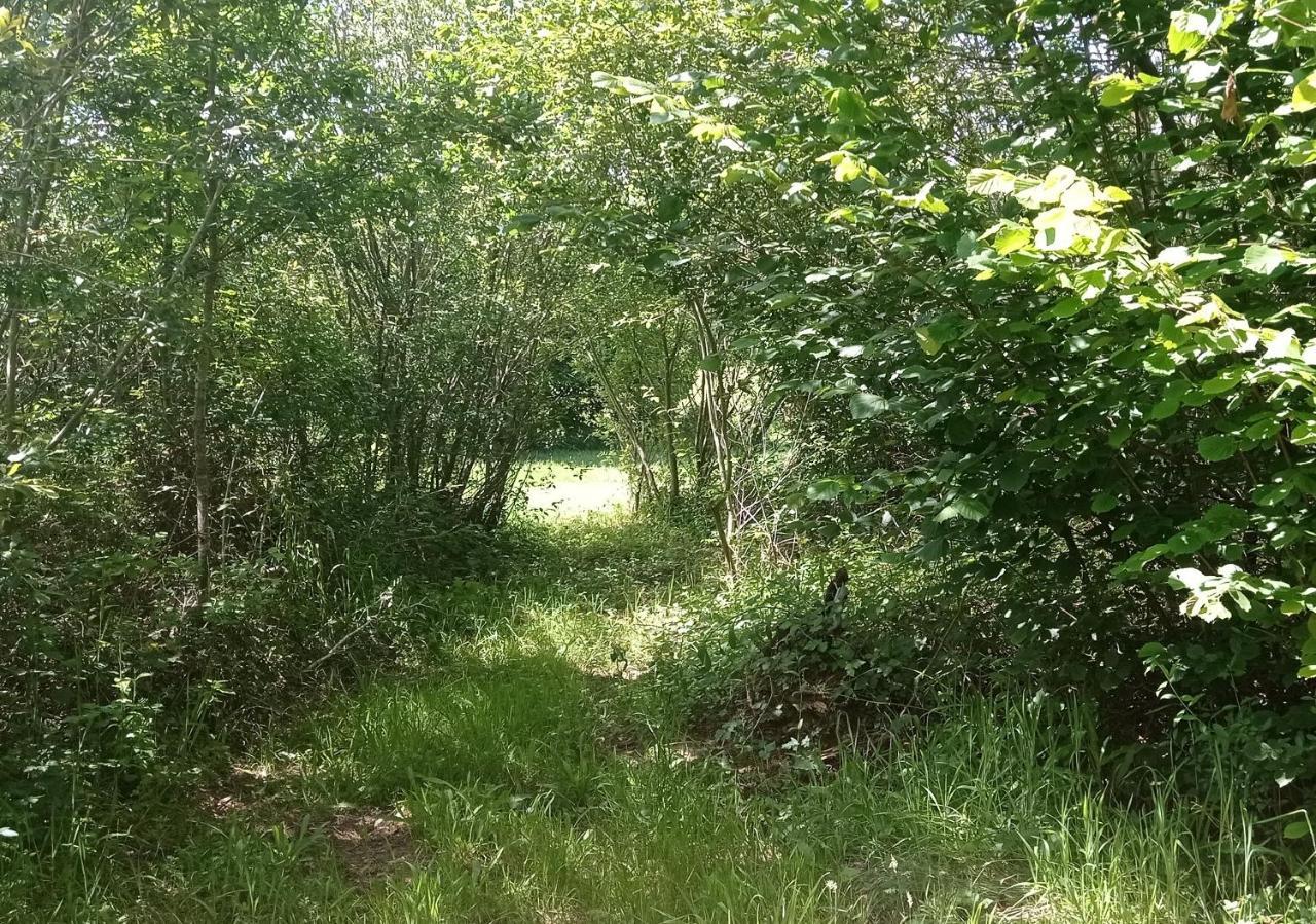 Tente Safari Lodge Dans Foret Luxuriante Vielle-Tursan Dış mekan fotoğraf
