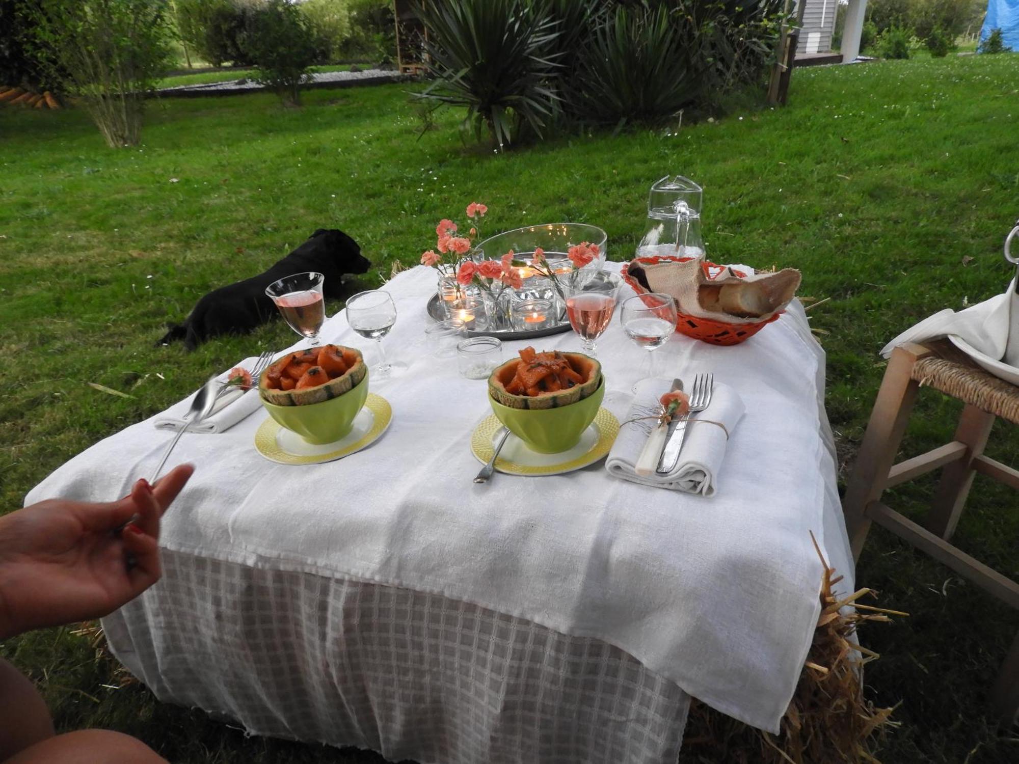 Tente Safari Lodge Dans Foret Luxuriante Vielle-Tursan Dış mekan fotoğraf